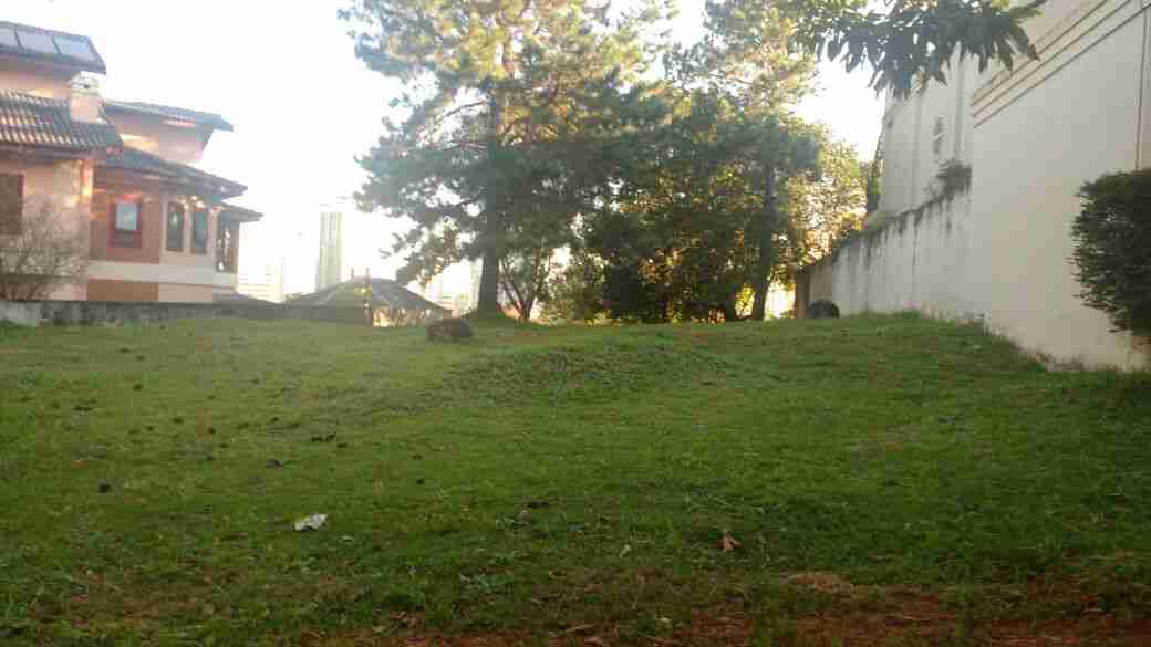 Terreno &nbsp;ALPHAVILLE &nbsp;MELVILLE