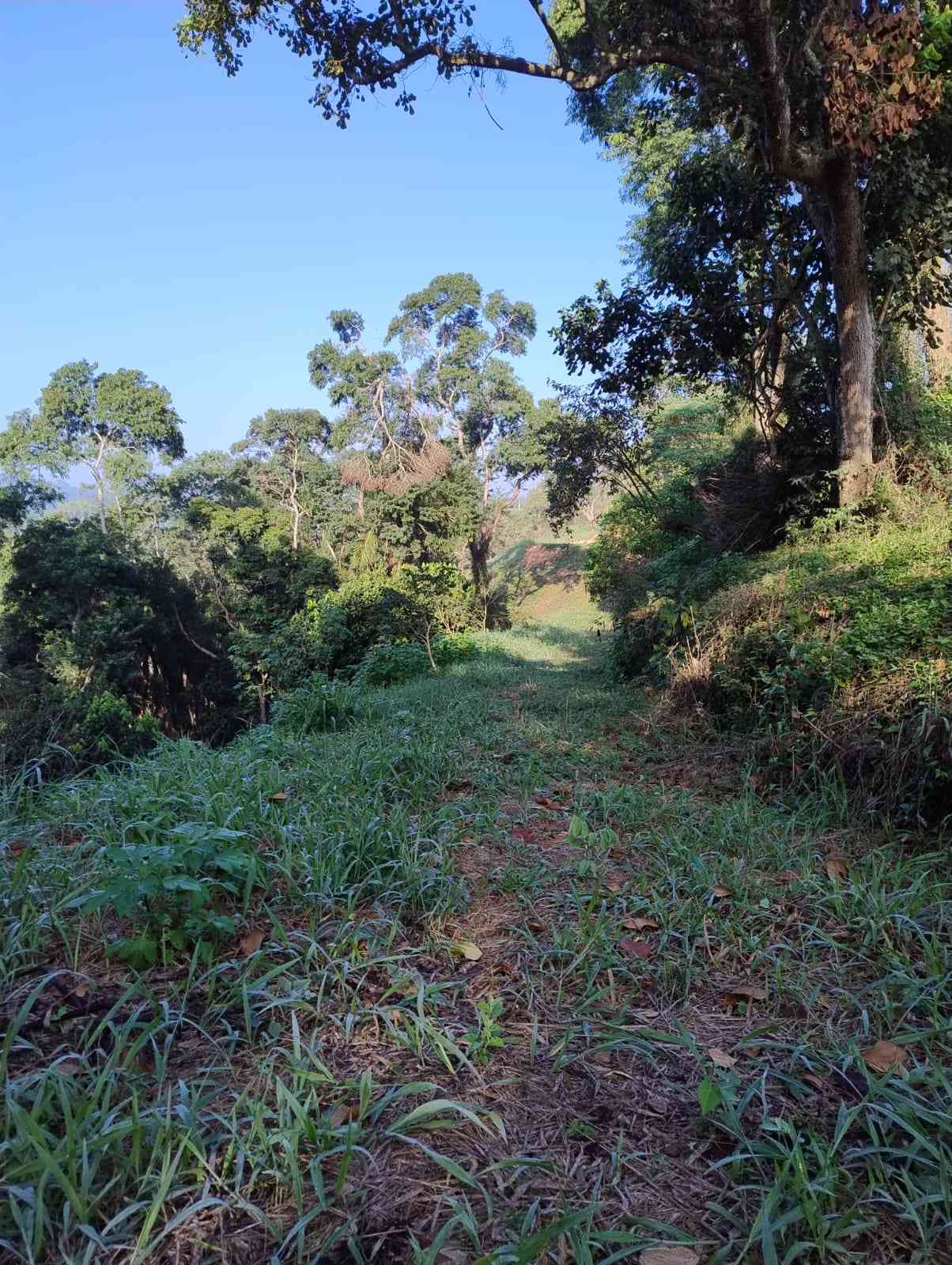 Terreno&nbsp;SANTANA DE PARNAIBA &nbsp;SURU &nbsp;SANTANA DE PARNAIBA